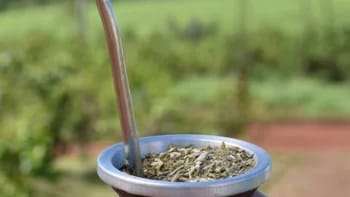 Las ventas de yerba mate en Argentina alcanzaron un total de 105.349.317 kilos entre enero y abril